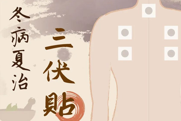 【冬病夏治】三伏贴中医院正在预约中
